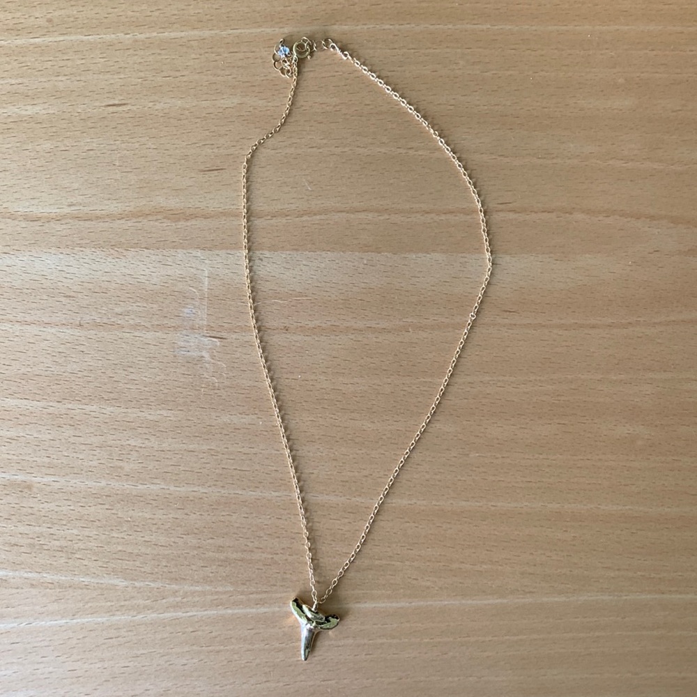Shark tooth necklace from Kiele.